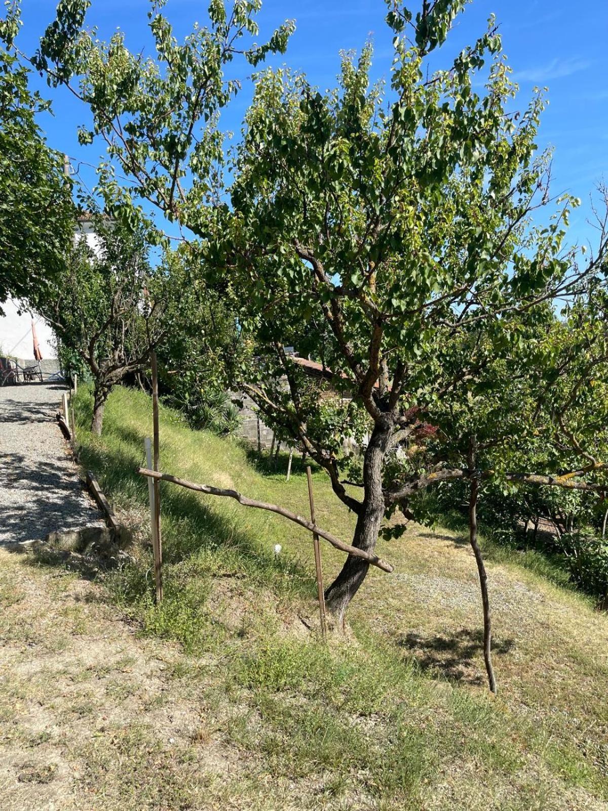 Ponti Casa Petra - Casa Tre Stelle - Casa Caneva - Ferien Fuer 6-14 Personen מראה חיצוני תמונה